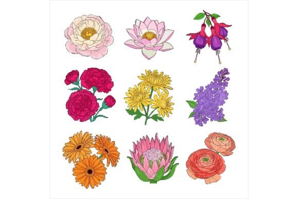 Colorful Flowers Illustrations for Vibrant Branding & Marketing