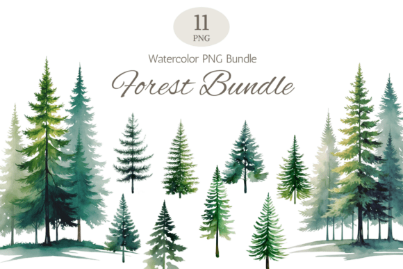 Watercolor Forest Trees PNG Bundle for Illustrations